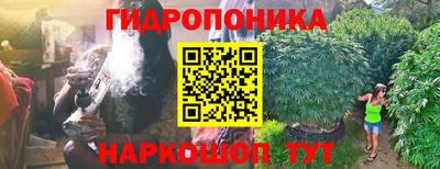 ГАЛЛЮЦИНОГЕННЫЕ ГРИБЫ Абинск