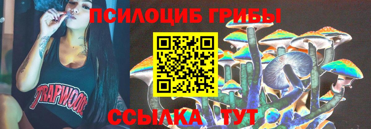 Псилоцибиновые грибы Psilocybe  Вход с VPN  Алушта 